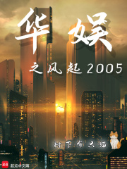 华娱之风起2005小说