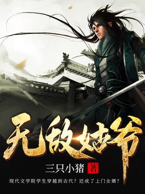 无敌姑爷免费完整版